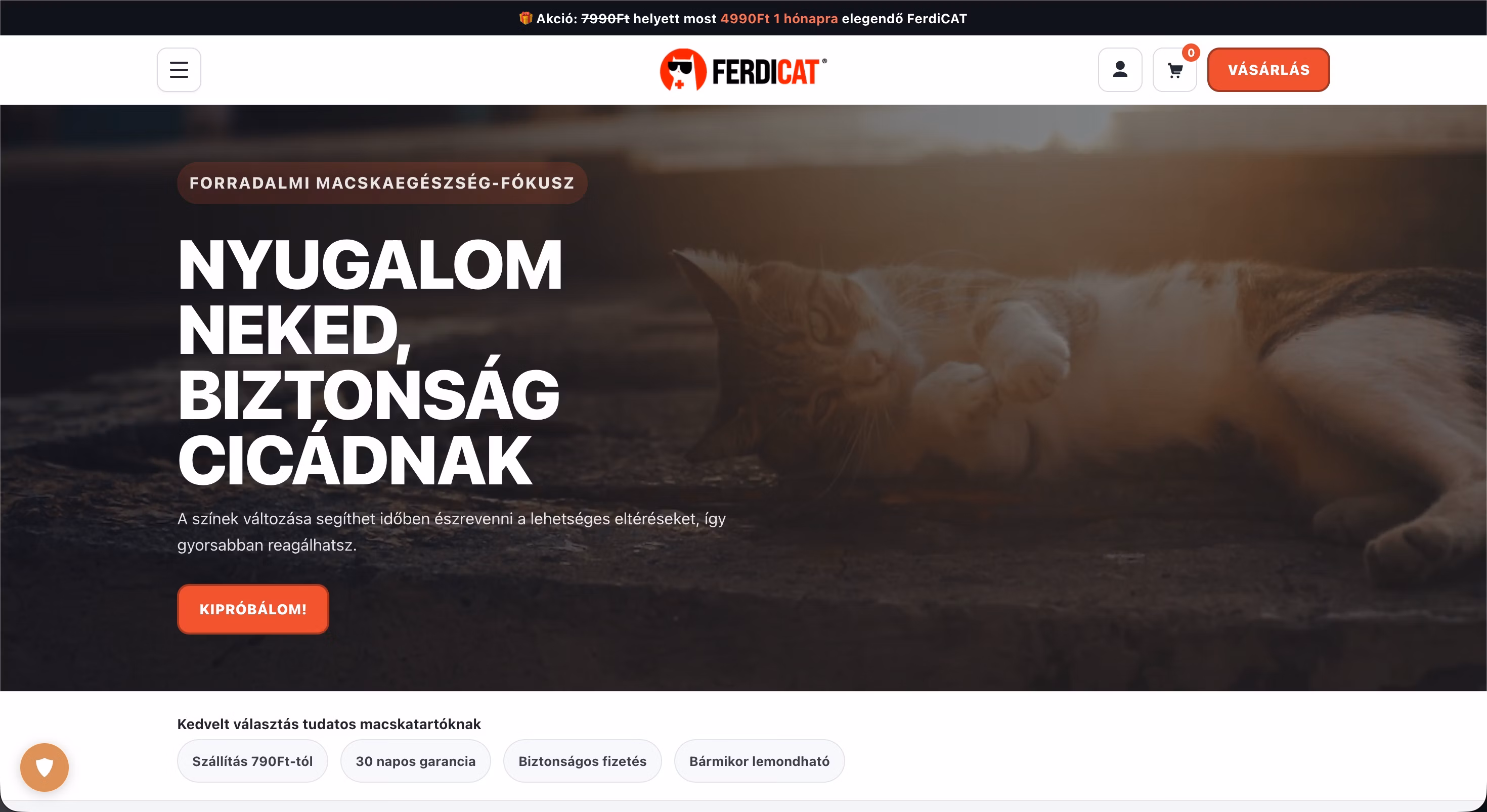 Ferdicat webshop - egyedi e-kereskedelmi weboldal Győr